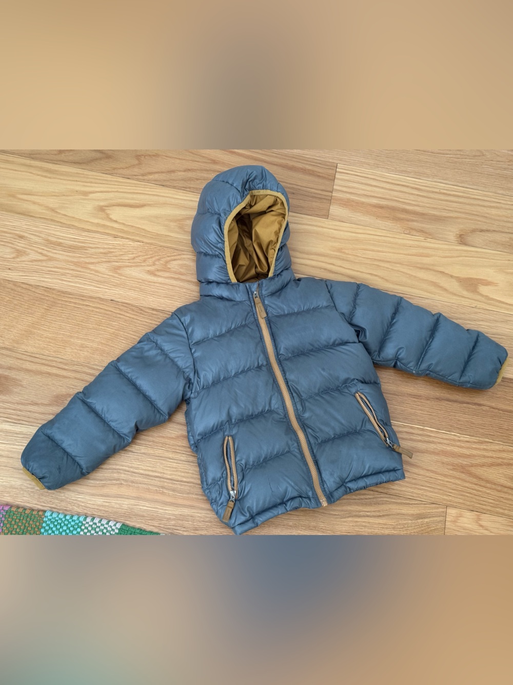 Patagonia Hi Loft Down Hoodie